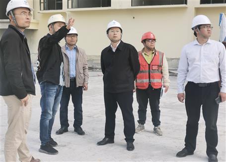 賴海標到桂南分公司承建項目調(diào)研指導(dǎo)工作